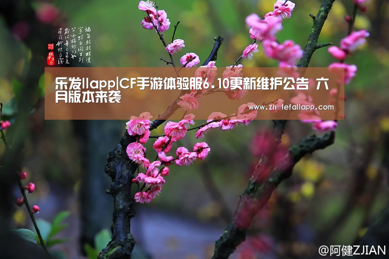 乐发llapp
